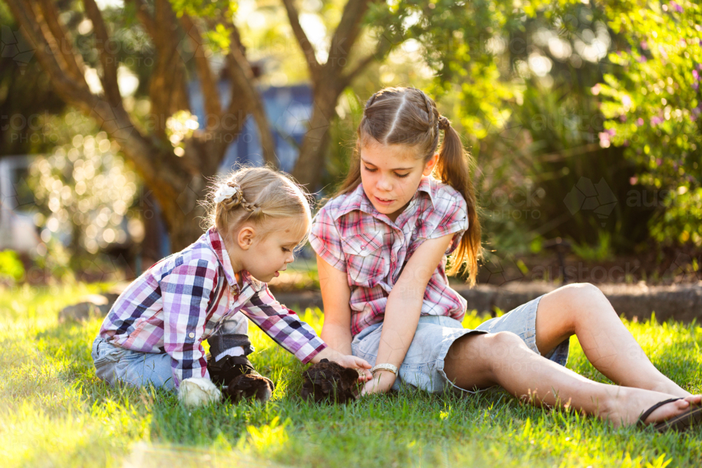 Two happy Aussie girls together in country backyard holding baby chicks at easter time - Australian Stock Image