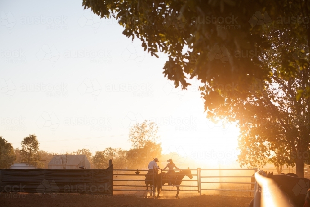 Two horse riders meet at stockyard gate at sunset - Australian Stock Image