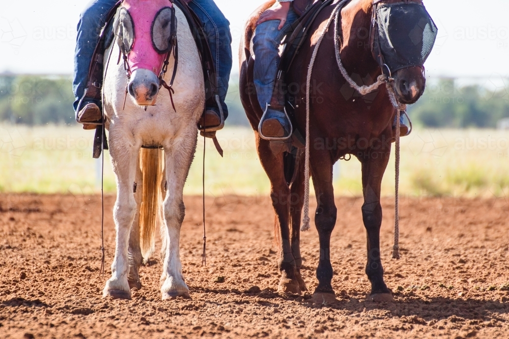 Two horses standing on the dirt road with riders - Australian Stock Image