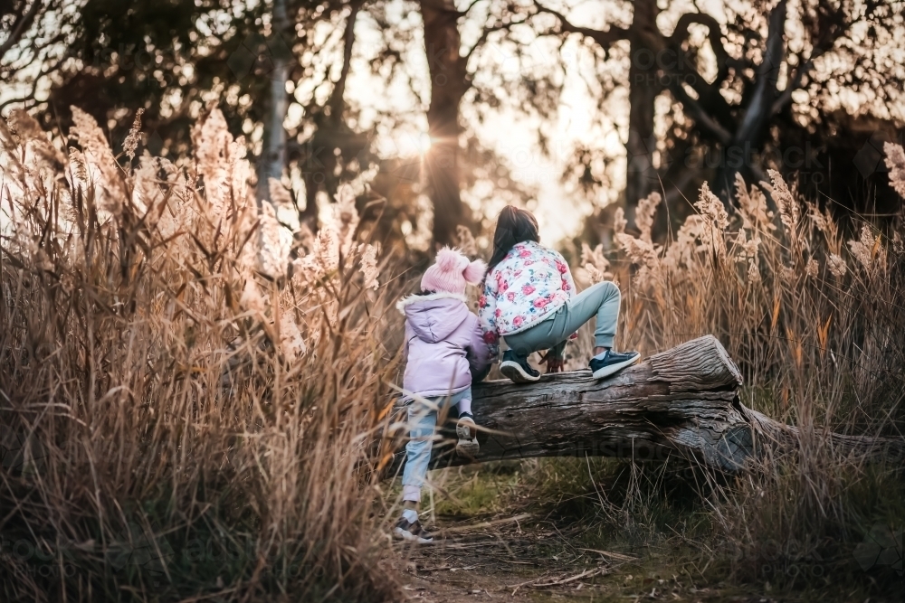 two little girls climbing a tree trunk outdoors - Australian Stock Image