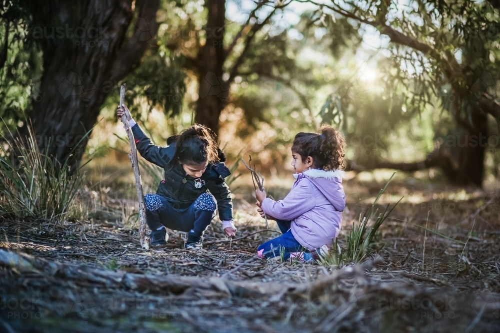 two little girls collecting sticks outdoors - Australian Stock Image