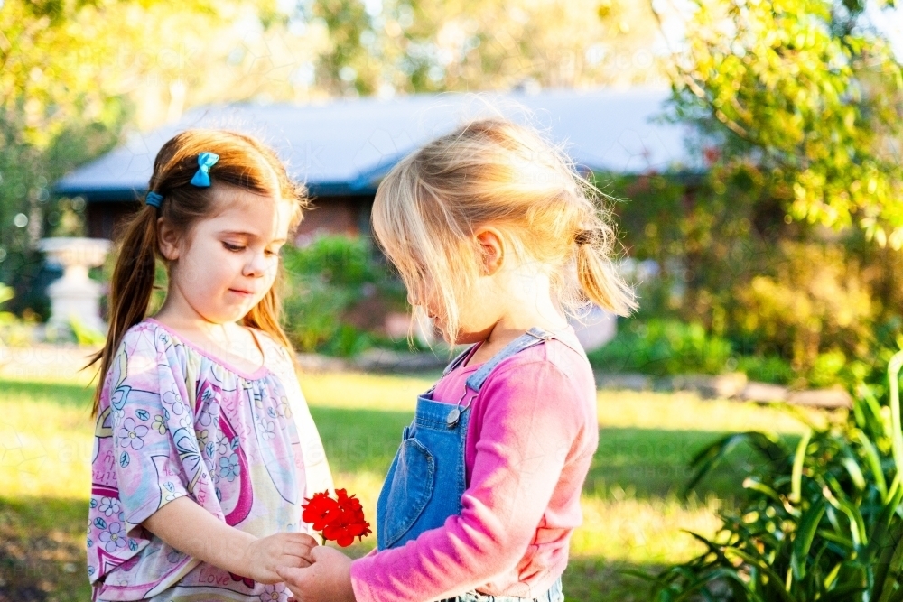 Two little girls in pink playing outside together - Australian Stock Image