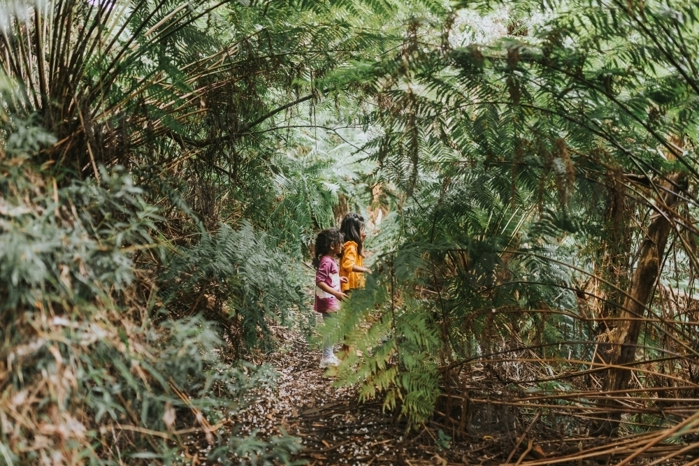 Two little girls in the forest - Australian Stock Image