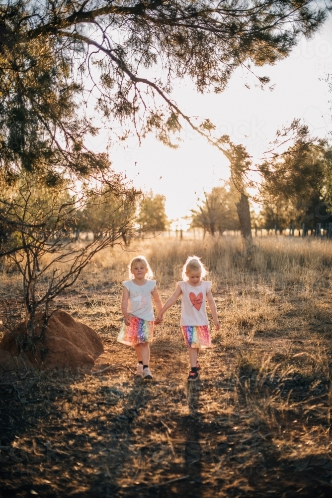 Two little girls walking through farmland, holding hands - Australian Stock Image