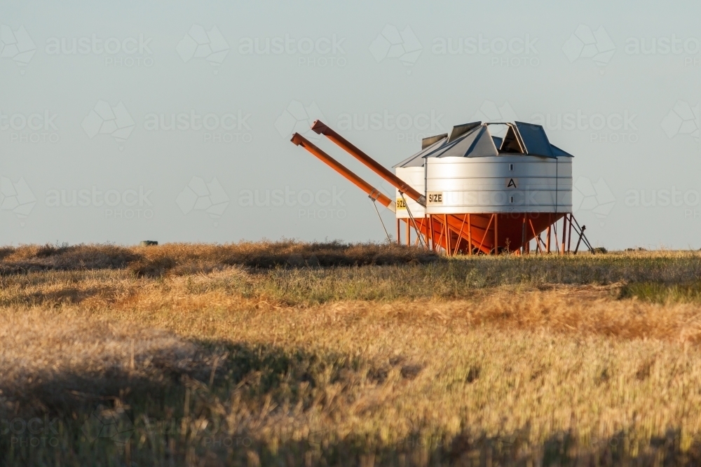 Two metal field bins sitting next to one another in a farmers paddock - Australian Stock Image