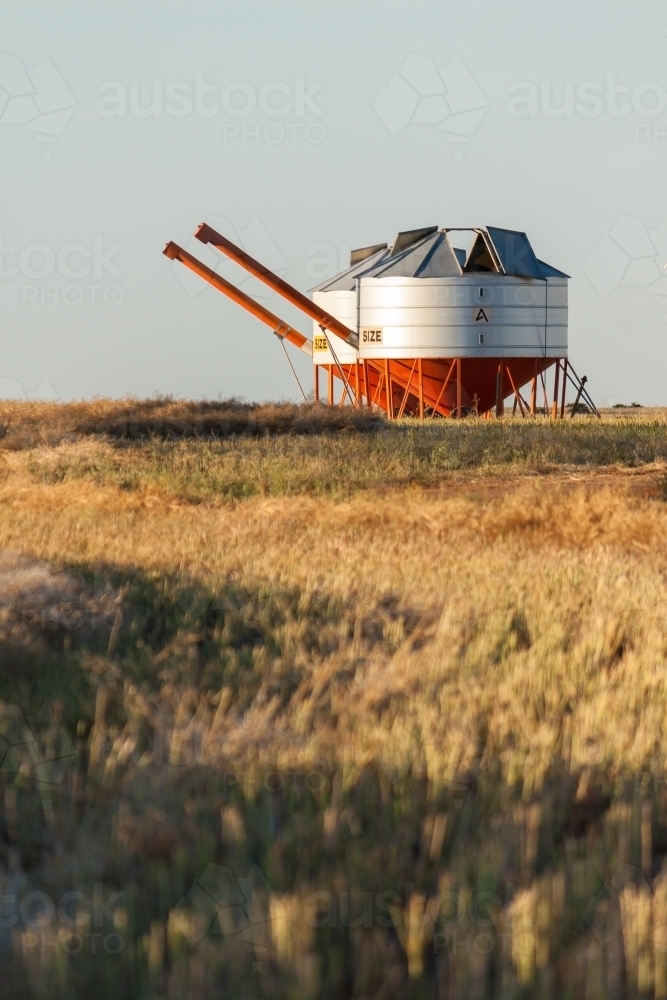 Two metal field bins sitting next to one another in a farmers paddock - Australian Stock Image
