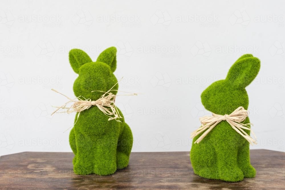 two mossy green easter bunnies - Australian Stock Image