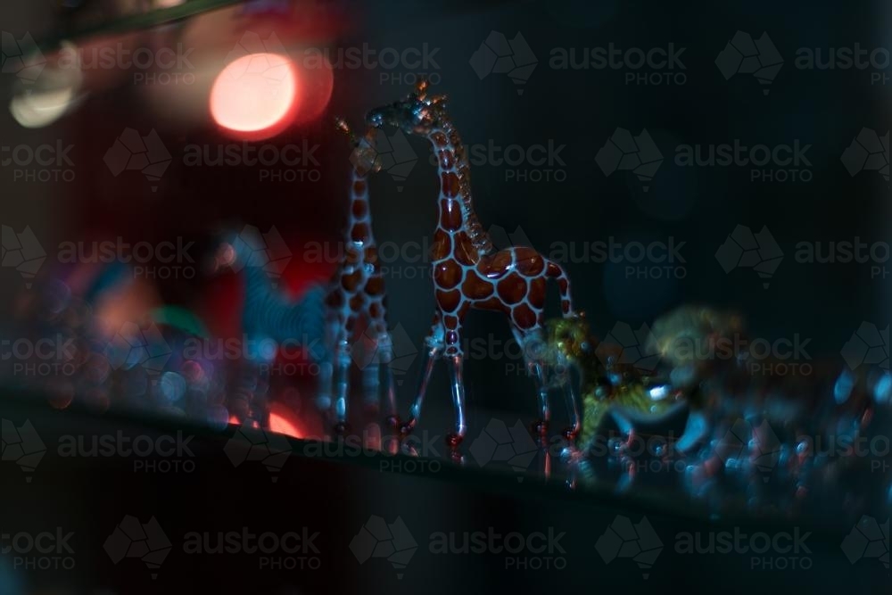Two ornamental giraffes in the night - Australian Stock Image