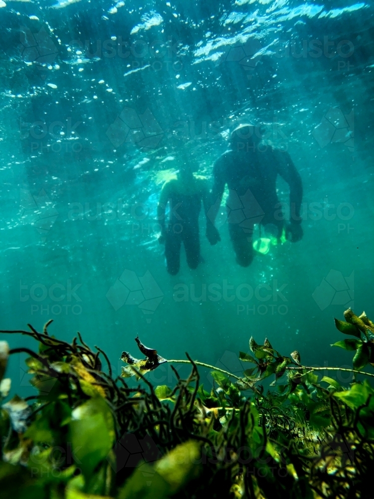 Two people snorkelling together over reef taken underwater - Australian Stock Image