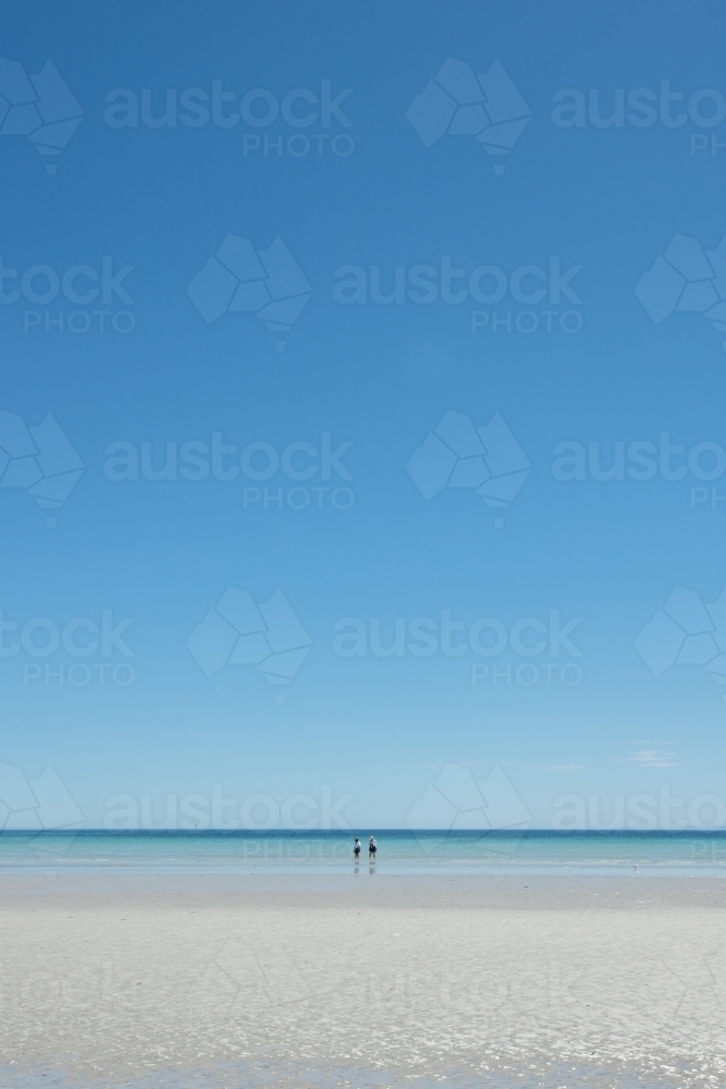 two people standing in the water at the beach - Australian Stock Image