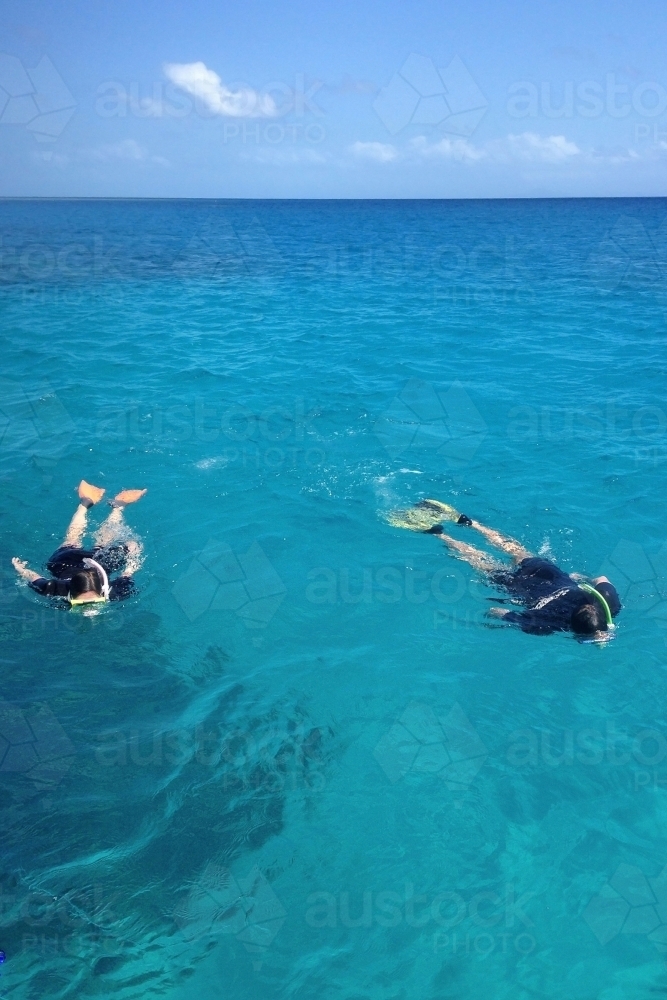 two people swimming with snorkels in the ocean - Australian Stock Image