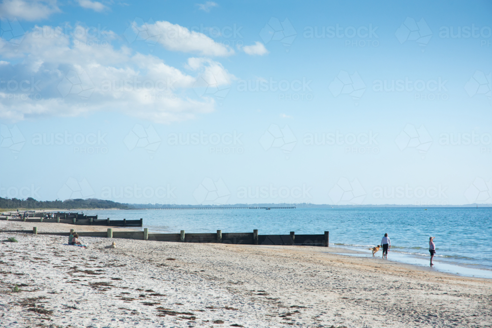 Two people walking dog along beach with groynes and blue sky - Australian Stock Image
