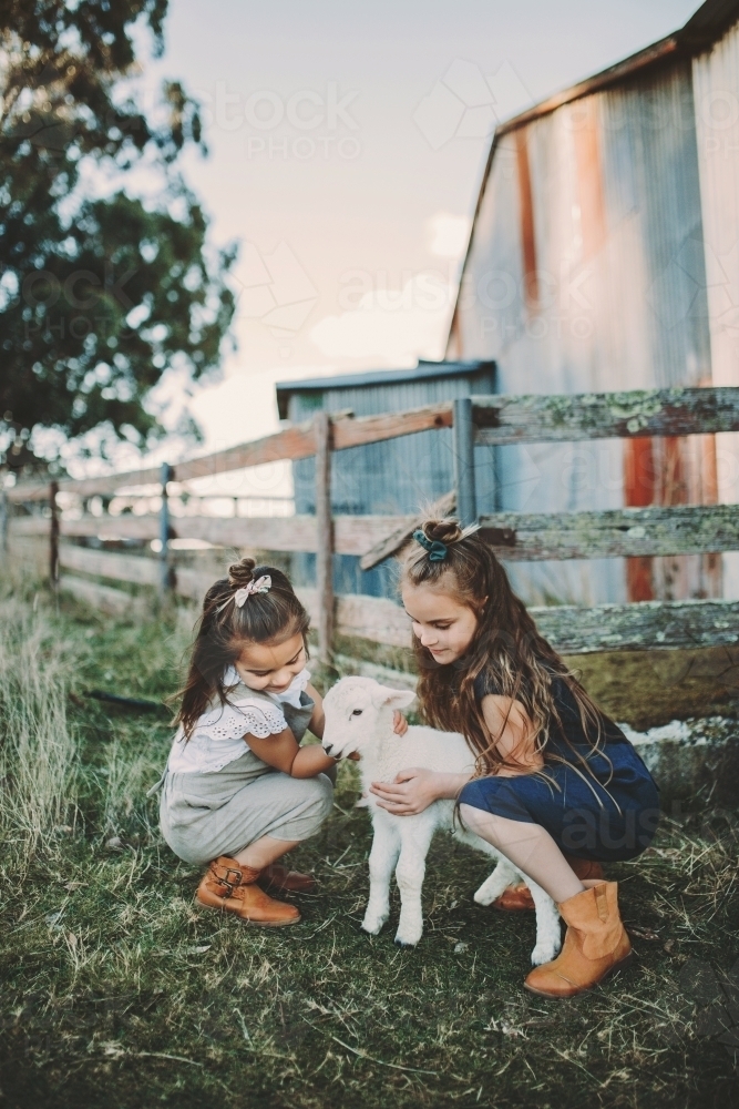 Two sisters hugging a baby lamb in front of wooden fence on a farm - Australian Stock Image