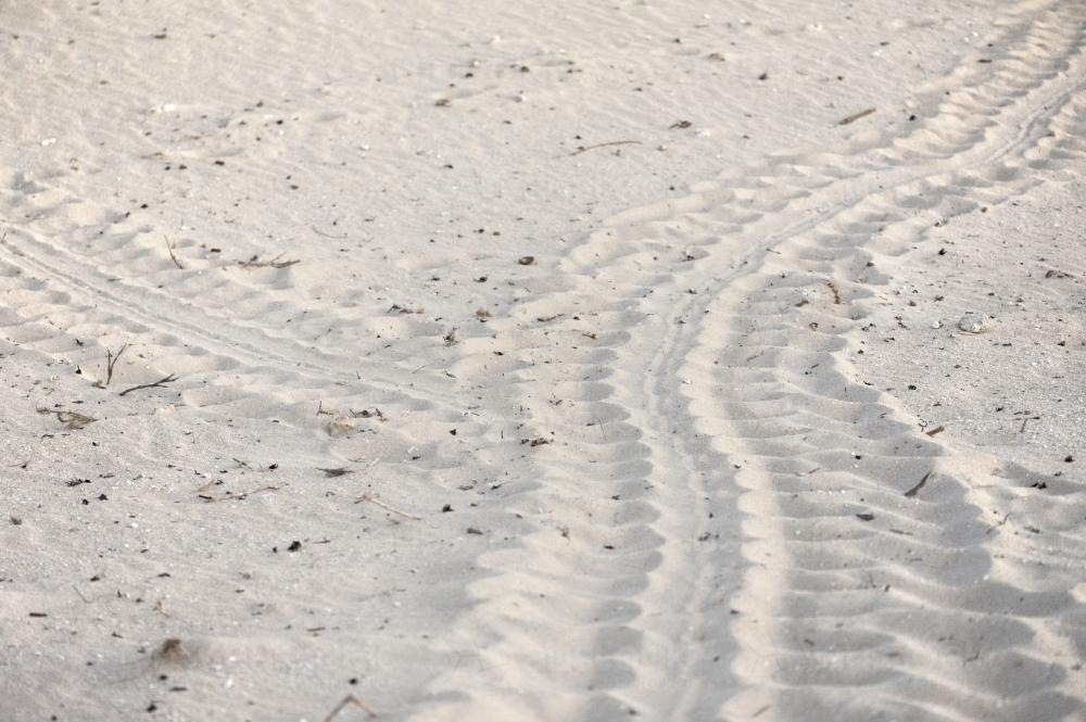 Two tracks of turtle prints in white sand - Australian Stock Image