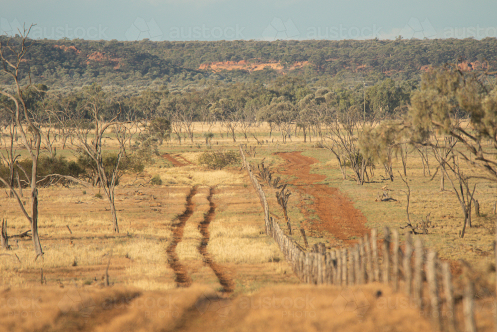 Two wheel tracks on one side of a fence, and a graded road on the other side of the fence - Australian Stock Image