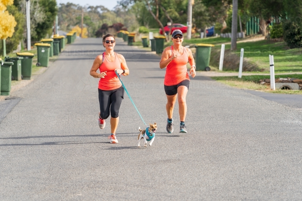 Two women running with a small dog on a neighbourhood street lined with recycle bins - Australian Stock Image