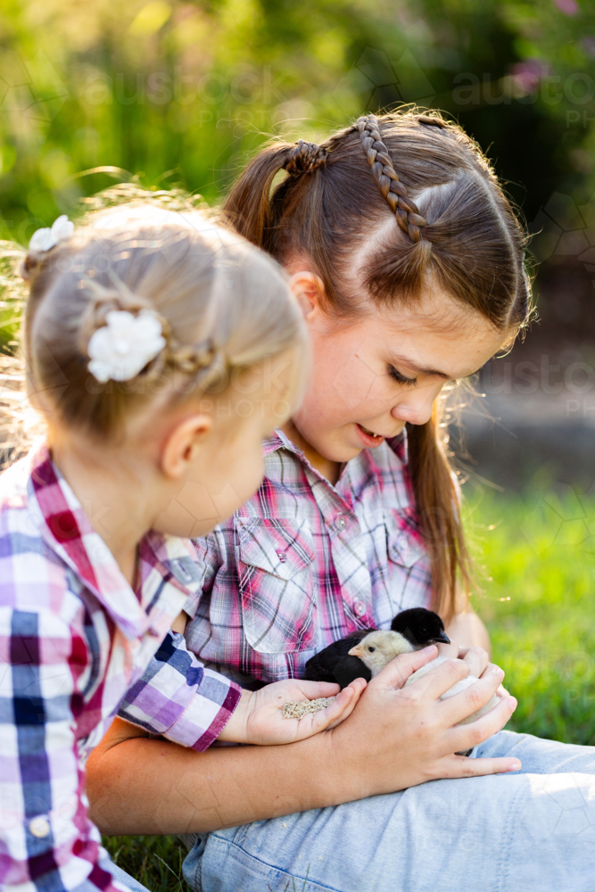 Two young Australian girls sitting together snuggling easter chicks in country garden - Australian Stock Image