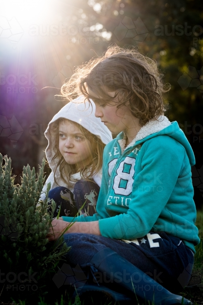 Two young girls sitting in the garden with sun setting in background - Australian Stock Image