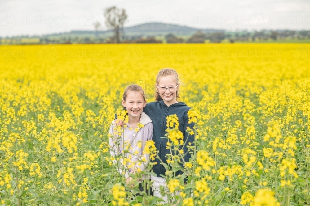 Two young sisters posing in their family canola field. - Australian Stock Image