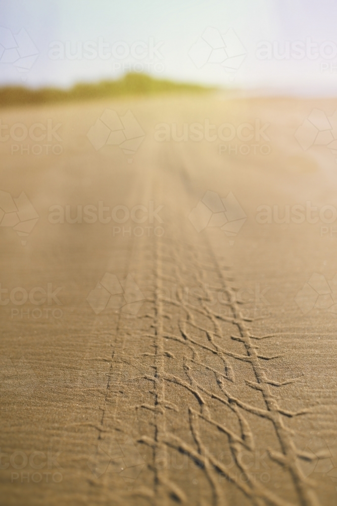 Tyre marks on beach with sunlight - Australian Stock Image