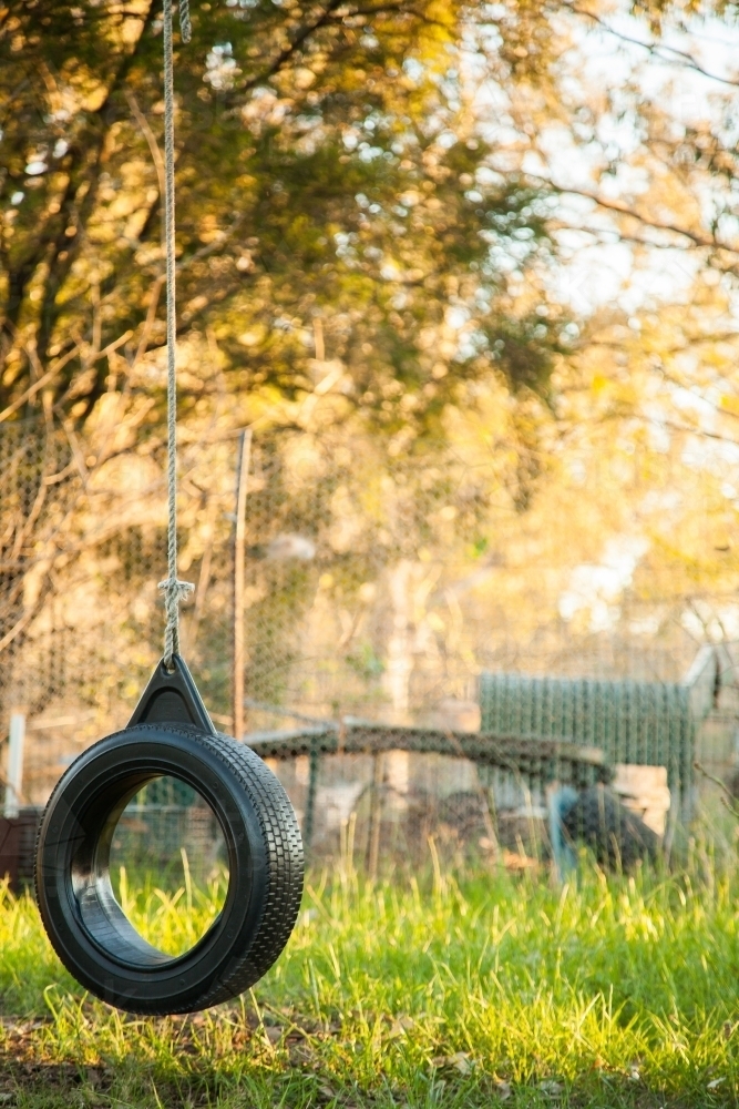 Tyre swing hanging from a gumtree in the front yard - Australian Stock Image