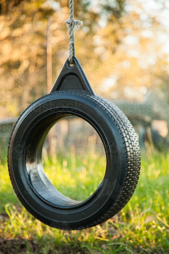 Tyre swing hanging from a gumtree in the front yard - Australian Stock Image