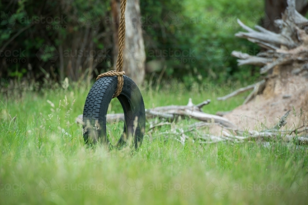 Tyre swing in the bush - Australian Stock Image