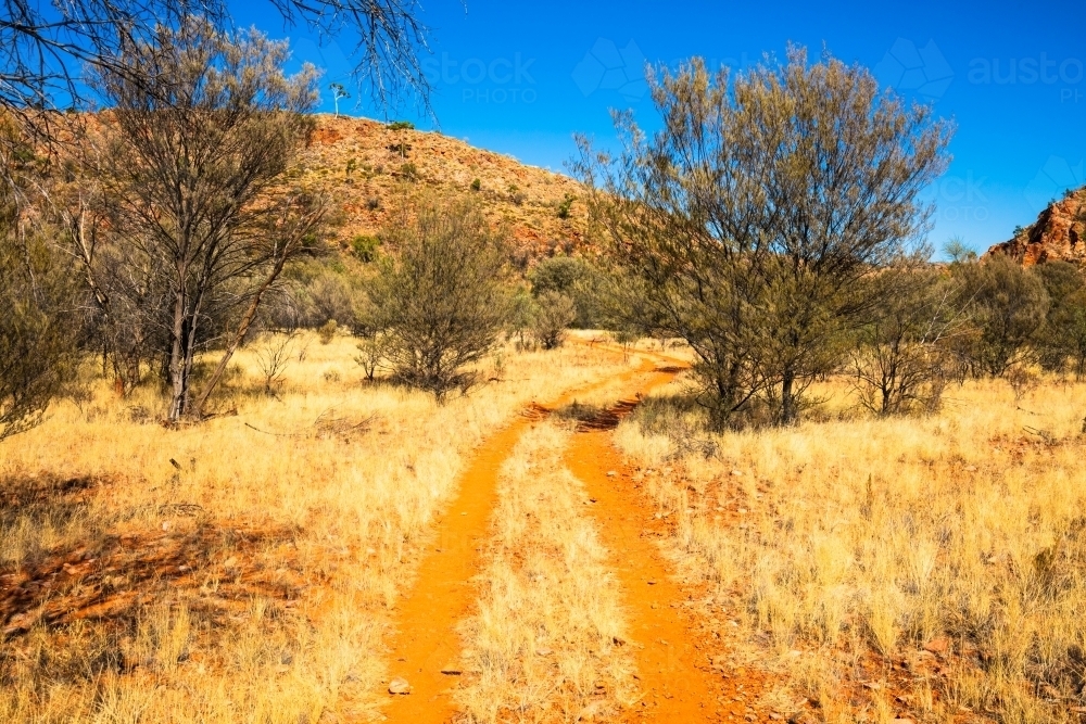 Tyre tracks leading away through the red earth of Central Australia. - Australian Stock Image