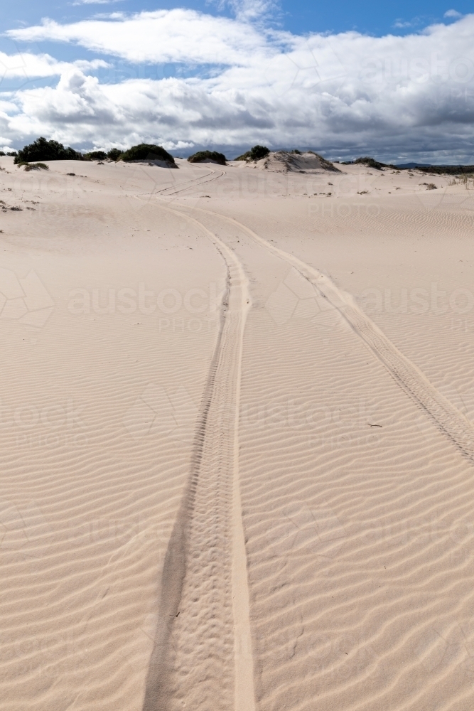 Image of tyre tracks leading through white sand dunes - Austockphoto