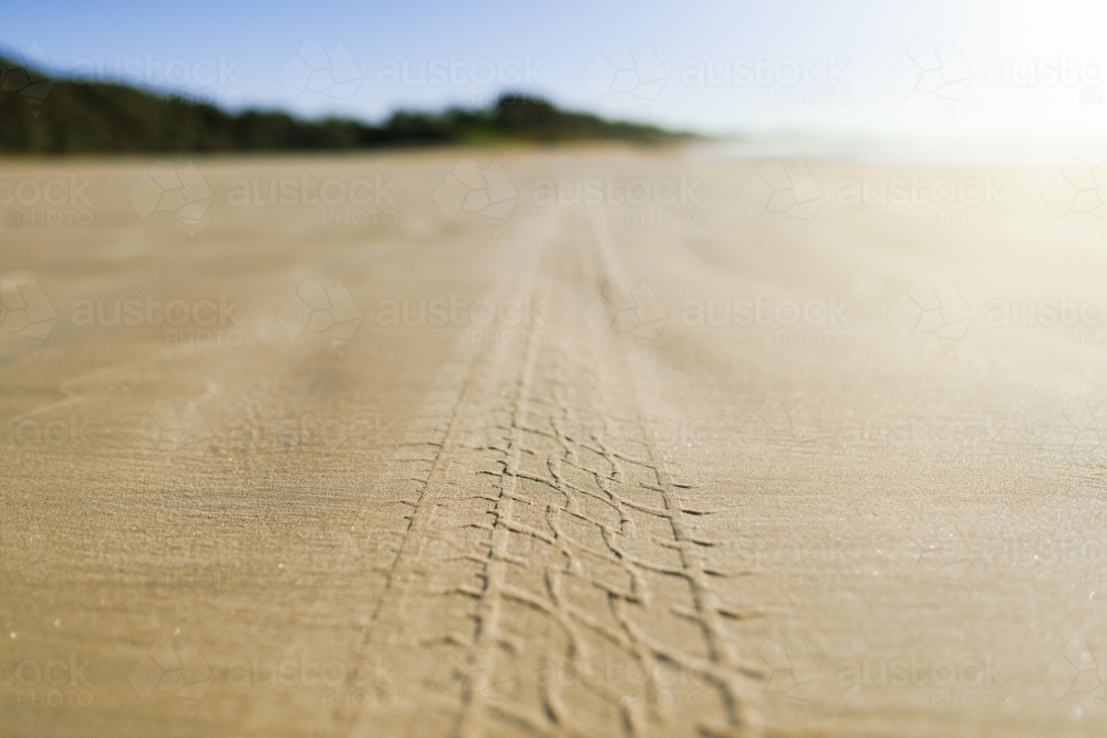 Tyre tracks on beach in morning - Australian Stock Image