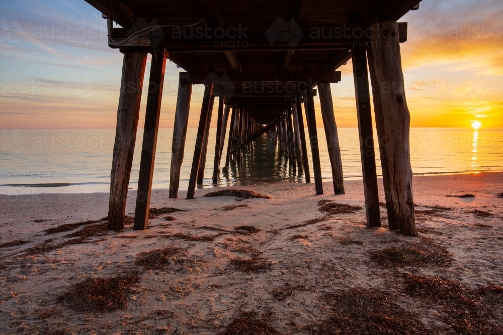 Underside of Grange Jetty in Gulf St Vincent - Australian Stock Image