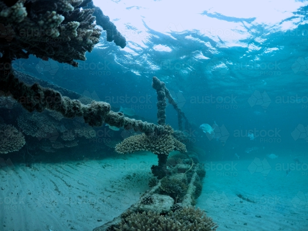 Underwater channel - Australian Stock Image
