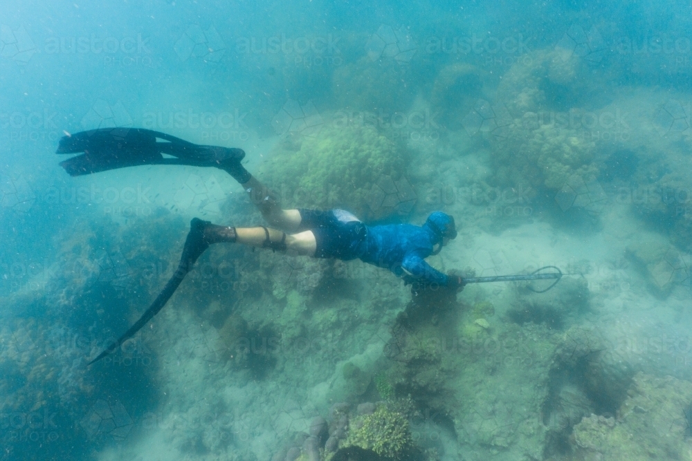 Image of Underwater shot of man with speargun swimming in turquoise ocean  with coral bottom - Austockphoto