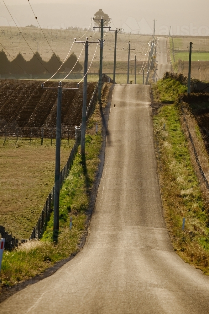 Image of Undulating Road in Rural Tasmania - Austockphoto