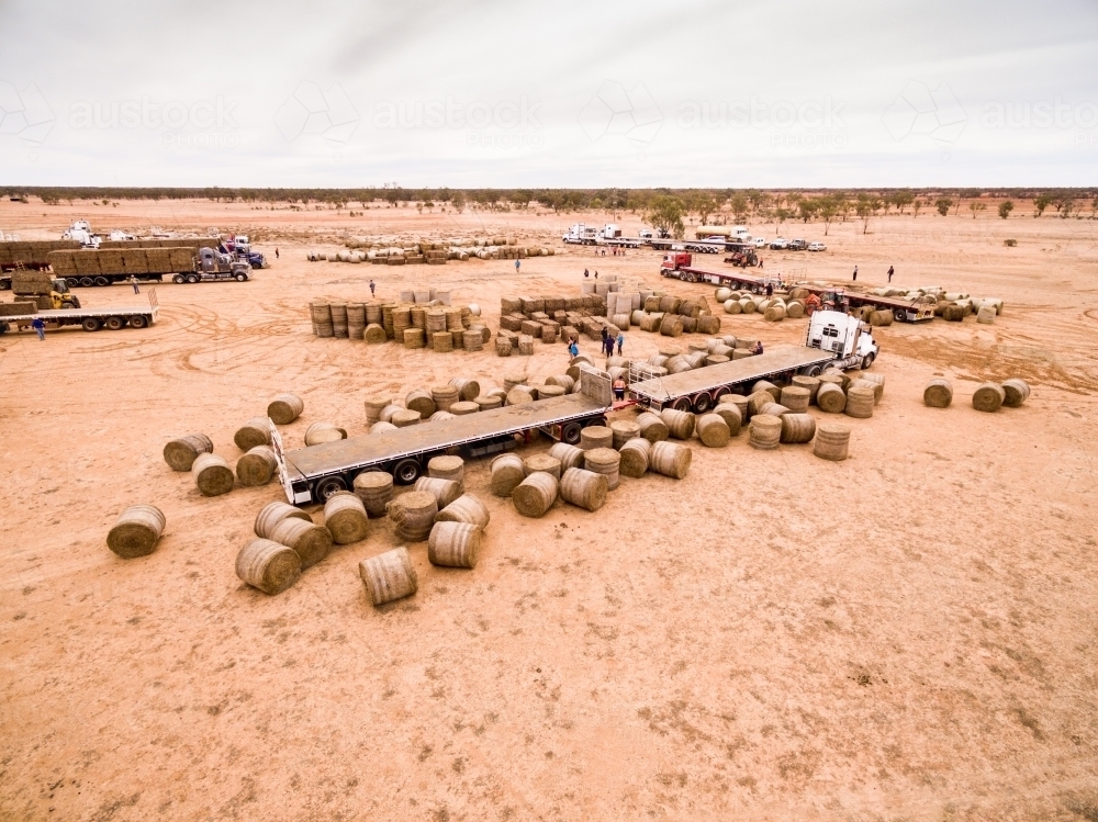 Unloading large hay bales off semi-trailer trucks for drought relief. - Australian Stock Image