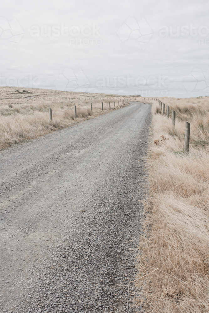 Unmade road with dry, summer grasses and fence line - vertical - Australian Stock Image