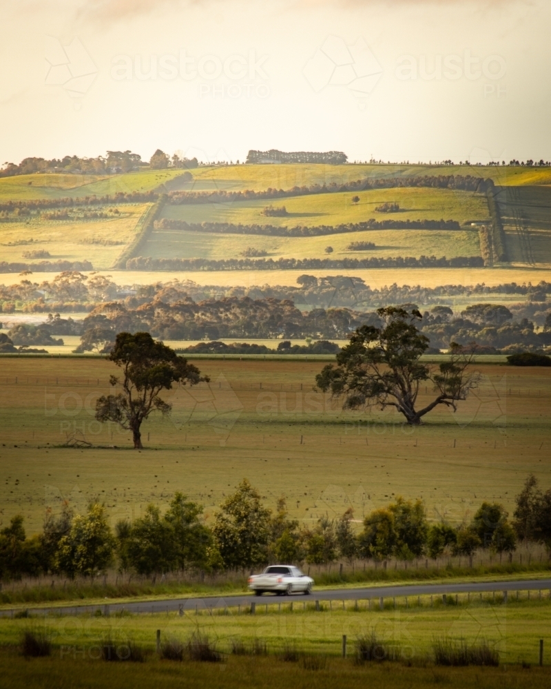 Ute Driving Down a Rural Road - Australian Stock Image
