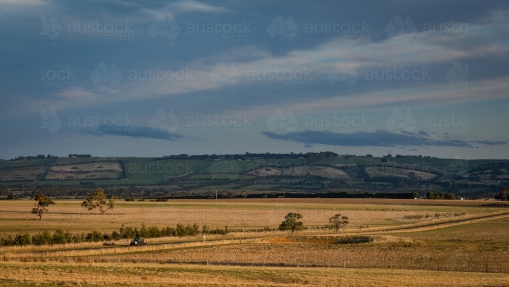 Ute Driving down a Small Road through a Rural Landcape - Australian Stock Image