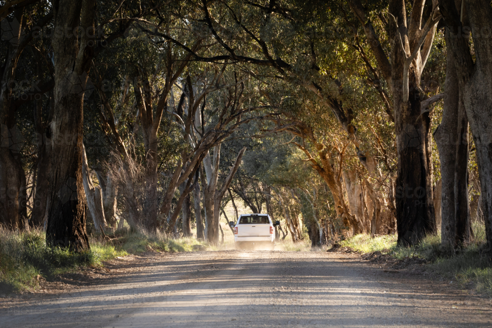 Ute driving down dusty gravel country road on sunlit morning - Australian Stock Image
