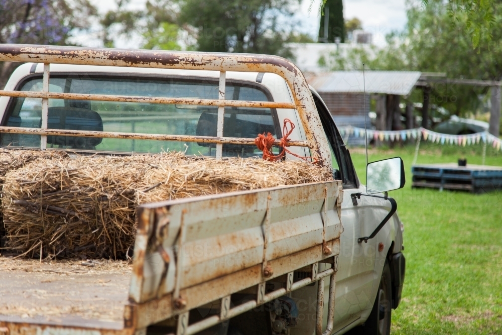 Ute loaded with hay bales driving on farm - Australian Stock Image