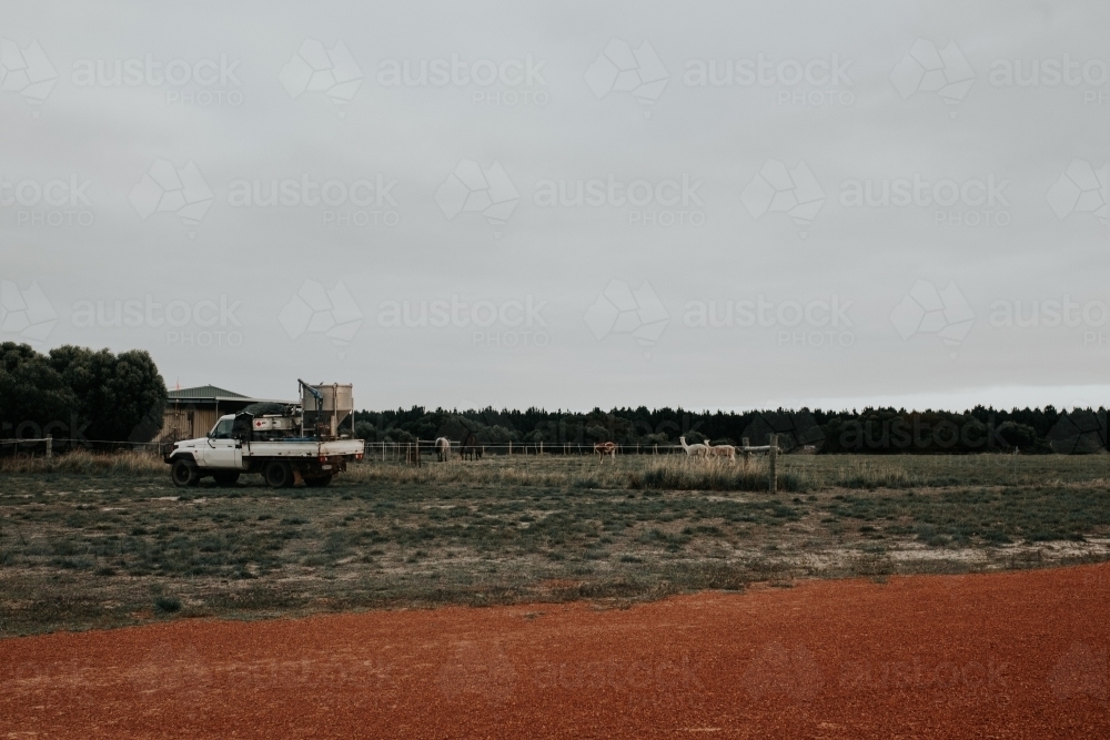 Ute parked near country home on farmland with red dirt road - Australian Stock Image