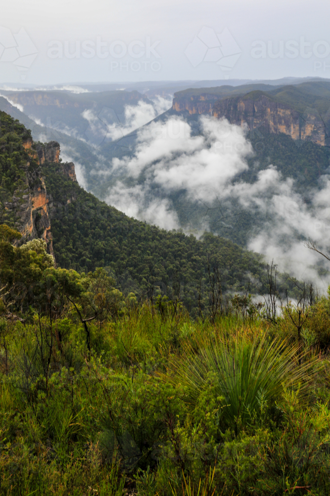 Valley and mountain landscape viewed from Anvil Hill Lookout - Australian Stock Image