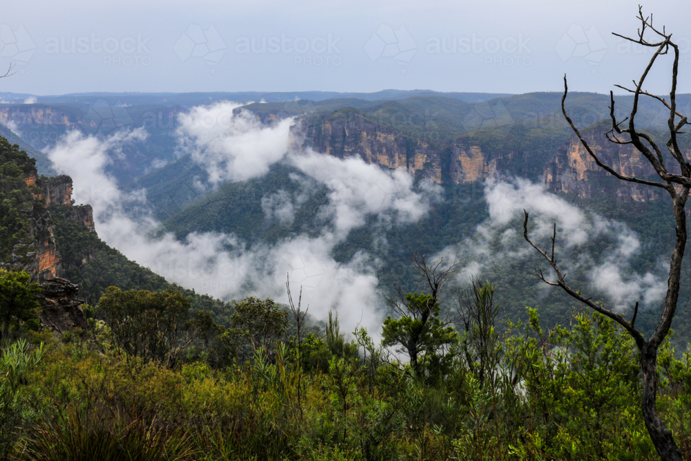 Valley and mountain landscape viewed from Anvil Hill Lookout - Australian Stock Image