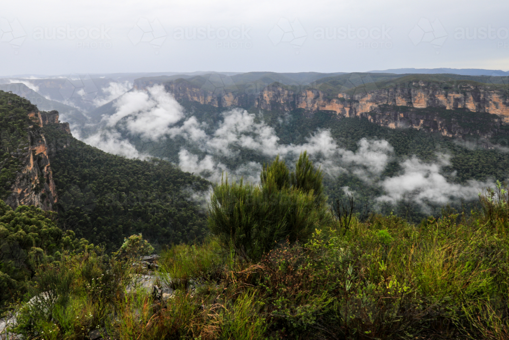 Valley and mountain landscape viewed from Anvil Hill Lookout in New South Wales - Australian Stock Image