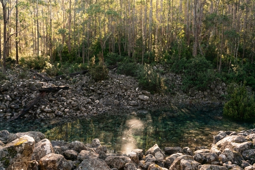 Vanishing Tarn, Lake in a Forest - Australian Stock Image