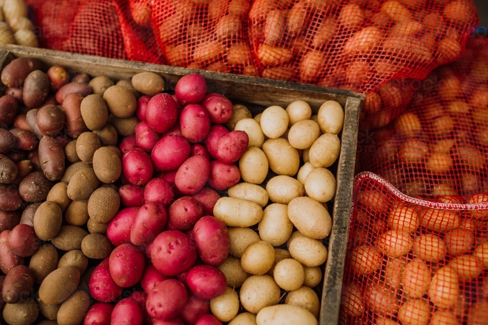 variety of potates boxed - Australian Stock Image