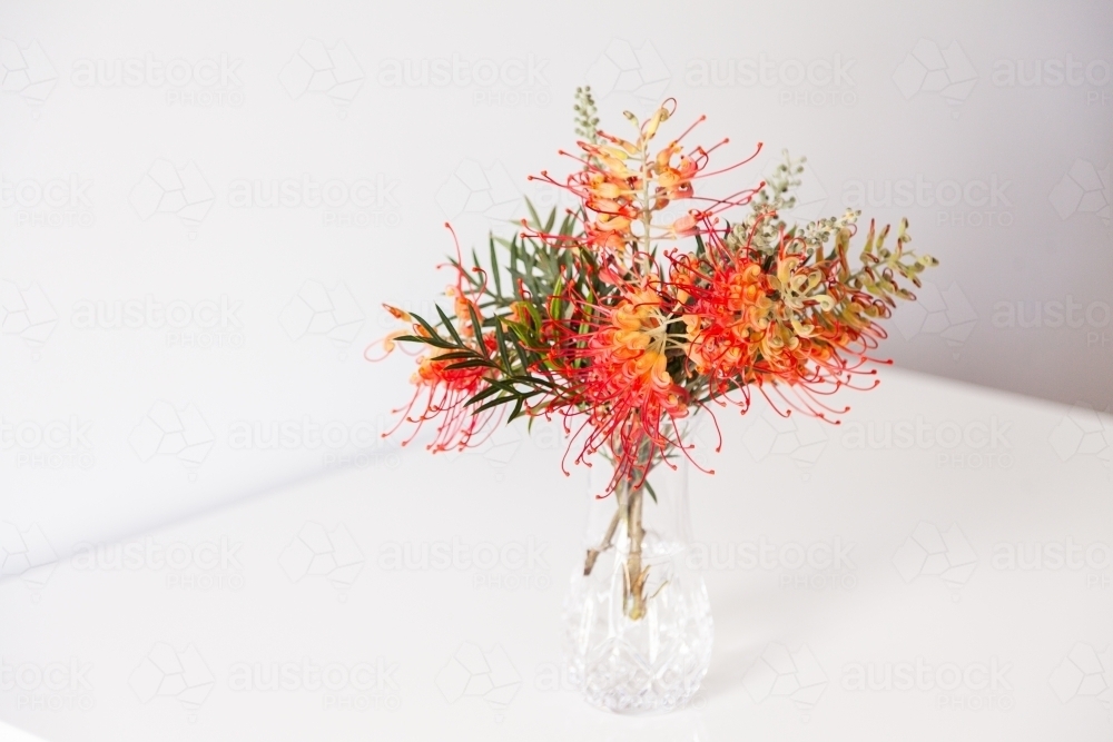 Vase of bright grevillea flowers on white table inside - Australian Stock Image
