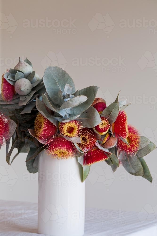 Vase of eucalyptus macrocarpa flowers and leaves - Australian Stock Image