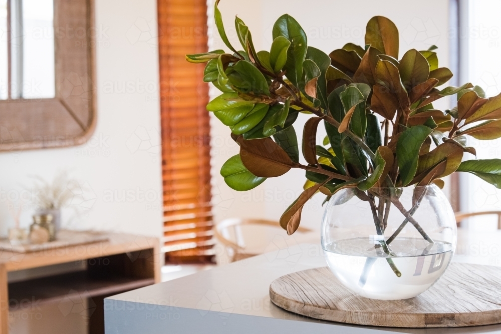 Vase of Magnolia leaves on a bench. - Australian Stock Image