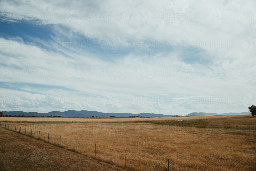Vast dry paddock under a wispy summer sky in regional NSW - Australian Stock Image